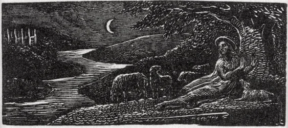 Colinet ruht in Cambridge bei Nacht, Illustration aus Dr. Thorntons 